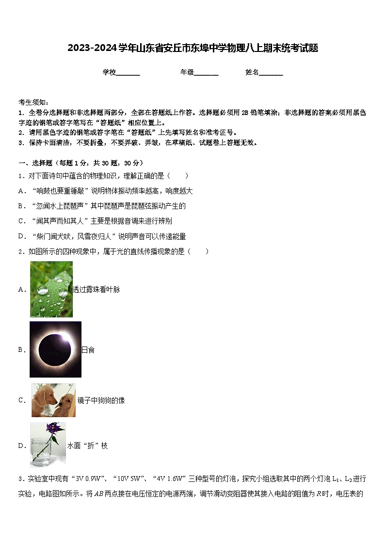 2023-2024学年山东省安丘市东埠中学物理八上期末统考试题含答案01