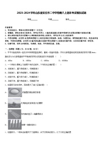 2023-2024学年山东省安丘市二中学物理八上期末考试模拟试题含答案