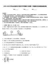 2023-2024学年山东省安丘市景芝中学物理八年级第一学期期末质量跟踪监视试题含答案