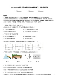 2023-2024学年山东省东平实验中学物理八上期末检测试题含答案