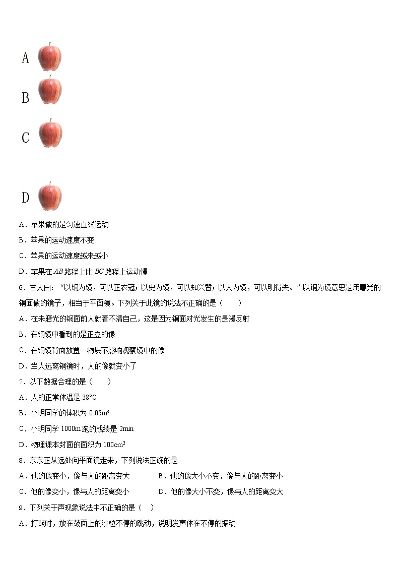 2023-2024学年山东省东平实验中学物理八上期末检测试题含答案第2页