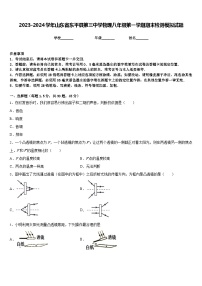 2023-2024学年山东省东平县第三中学物理八年级第一学期期末检测模拟试题含答案