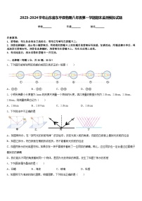 2023-2024学年山东省东平县物理八年级第一学期期末监测模拟试题含答案