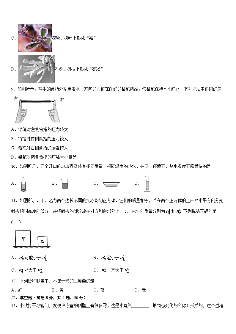 2023-2024学年山东省东平县物理八年级第一学期期末监测模拟试题含答案03