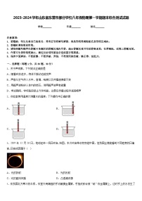 2023-2024学年山东省东营市部分学校八年级物理第一学期期末综合测试试题含答案