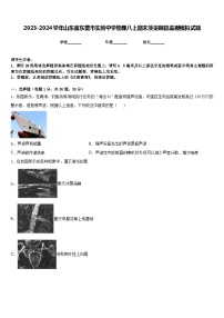 2023-2024学年山东省东营市实验中学物理八上期末质量跟踪监视模拟试题含答案