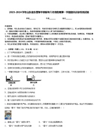 2023-2024学年山东省东营邹平县联考八年级物理第一学期期末达标检测试题含答案