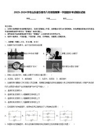 2023-2024学年山东省乐陵市八年级物理第一学期期末考试模拟试题含答案