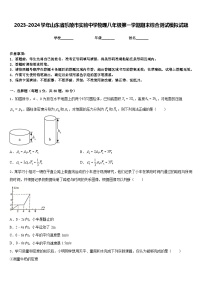 2023-2024学年山东省乐陵市实验中学物理八年级第一学期期末综合测试模拟试题含答案