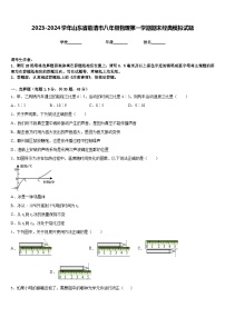 2023-2024学年山东省临清市八年级物理第一学期期末经典模拟试题含答案