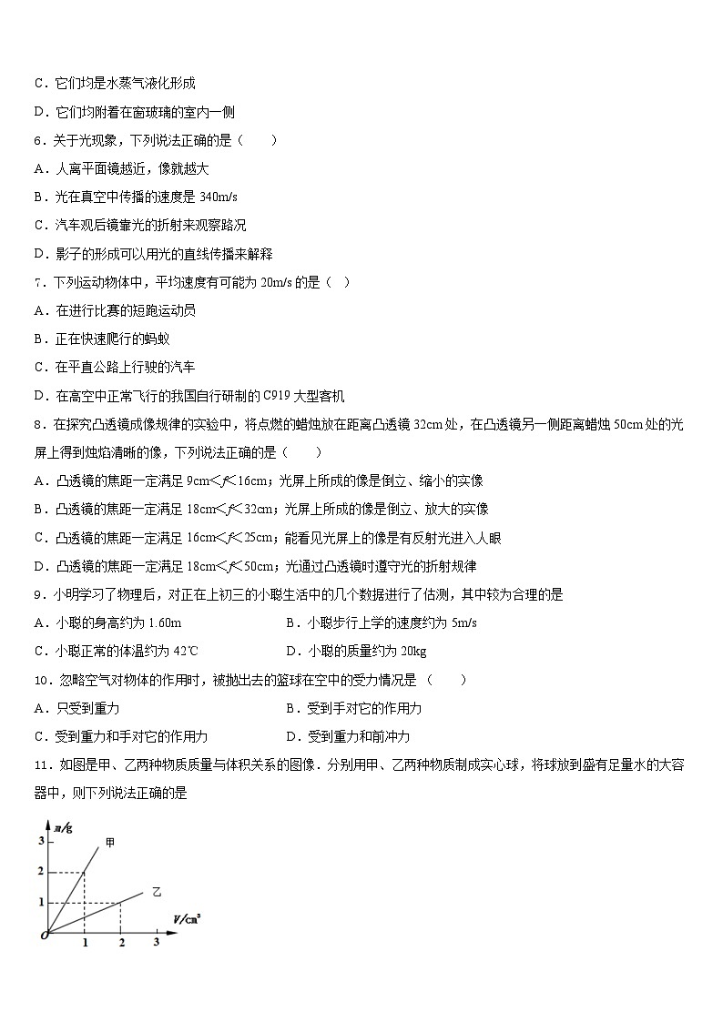 2023-2024学年山东省临沂蒙阴县联考物理八年级第一学期期末检测模拟试题含答案02