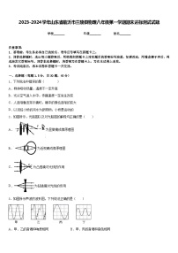 2023-2024学年山东省临沂市兰陵县物理八年级第一学期期末达标测试试题含答案