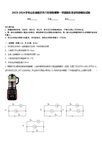 2023-2024学年山东省临沂市八年级物理第一学期期末质量检测模拟试题含答案