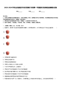 2023-2024学年山东省临沂市名校物理八年级第一学期期末质量跟踪监视模拟试题含答案