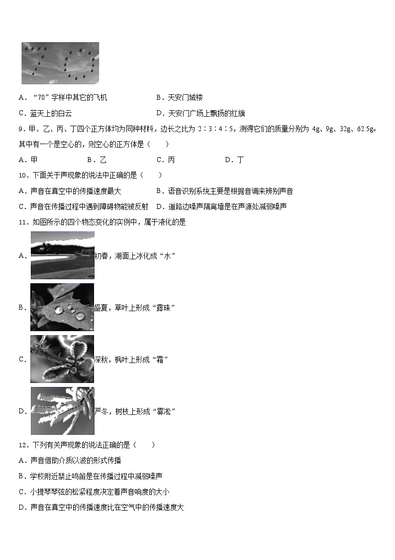 2023-2024学年山东省临沂市名校物理八年级第一学期期末质量跟踪监视模拟试题含答案03