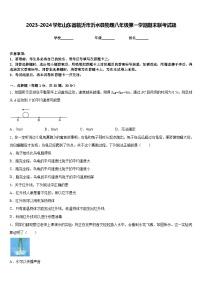 2023-2024学年山东省临沂市沂水县物理八年级第一学期期末联考试题含答案