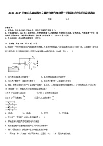 2023-2024学年山东省威海市文登区物理八年级第一学期期末学业质量监测试题含答案