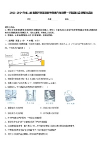 2023-2024学年山东省临沂郯城县联考物理八年级第一学期期末监测模拟试题含答案