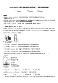 2023-2024学年山东省威海市环翠区物理八上期末统考模拟试题含答案