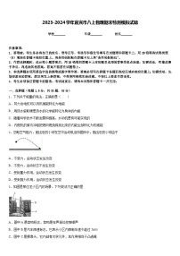 2023-2024学年宜宾市八上物理期末检测模拟试题含答案