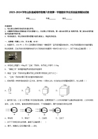 2023-2024学年山东省威海市物理八年级第一学期期末学业质量监测模拟试题含答案