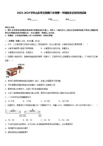 2023-2024学年山东枣庄物理八年级第一学期期末达标检测试题含答案