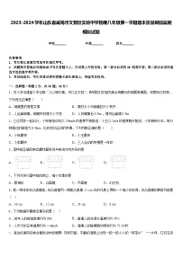 2023-2024学年山东省威海市文登区实验中学物理八年级第一学期期末质量跟踪监视模拟试题含答案