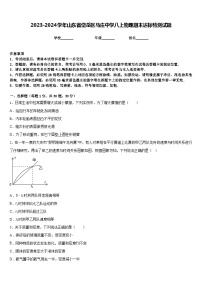 2023-2024学年山东省岱岳区马庄中学八上物理期末达标检测试题含答案