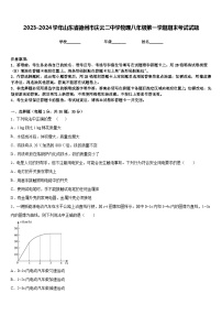 2023-2024学年山东省德州市庆云二中学物理八年级第一学期期末考试试题含答案