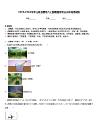 2023-2024学年山东东营市八上物理期末学业水平测试试题含答案