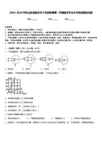 2023-2024学年山东省临沂市八年级物理第一学期期末学业水平测试模拟试题含答案