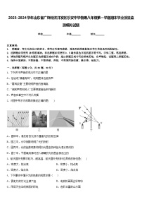 2023-2024学年山东省广饶经济开发区乐安中学物理八年级第一学期期末学业质量监测模拟试题含答案