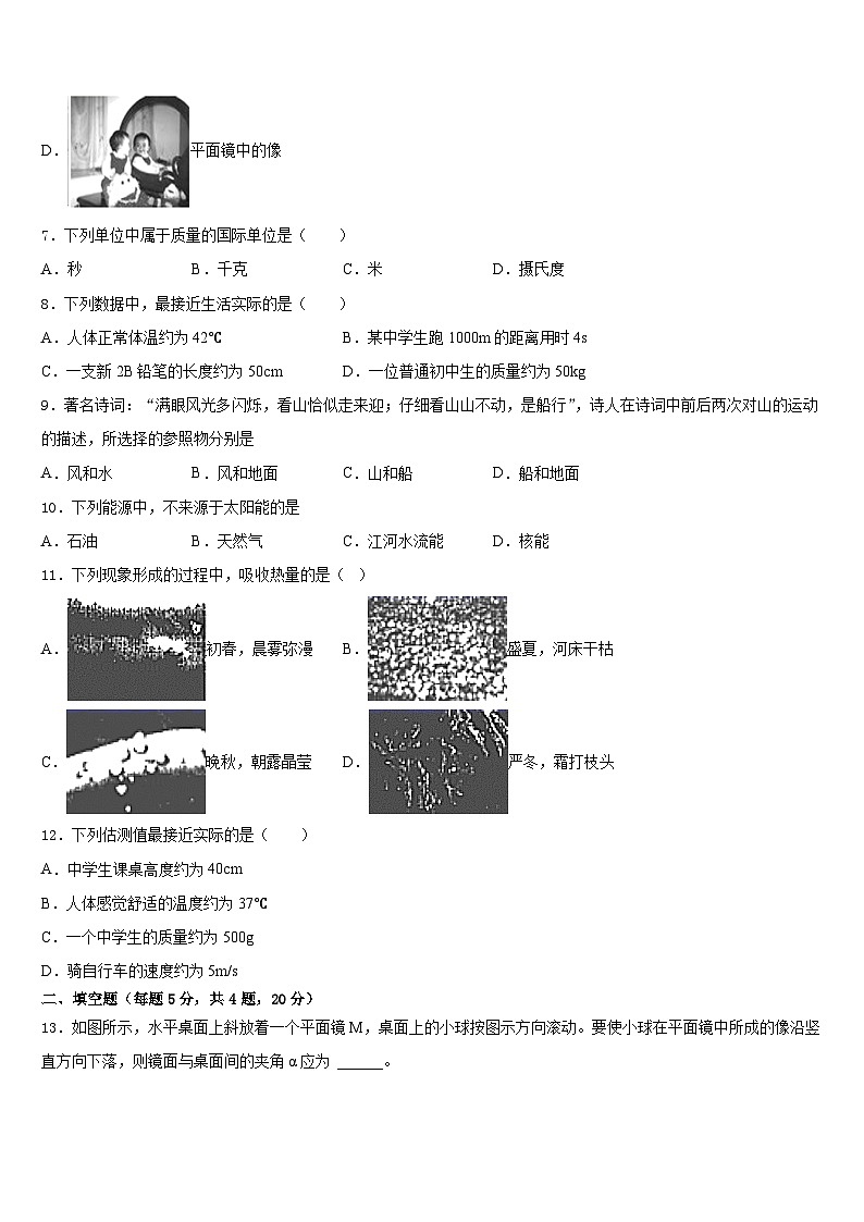 2023-2024学年山东省日照岚山区五校联考八年级物理第一学期期末调研试题含答案第3页