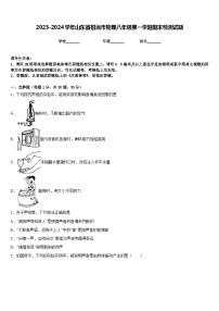 2023-2024学年山东省招远市物理八年级第一学期期末检测试题含答案