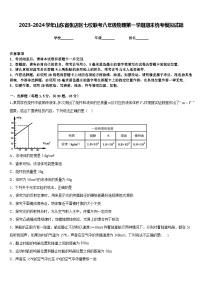 2023-2024学年山东省张店区七校联考八年级物理第一学期期末统考模拟试题含答案