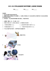 2023-2024学年山东省日照于里中学物理八上期末复习检测试题含答案