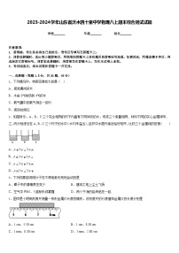 2023-2024学年山东省沂水四十里中学物理八上期末综合测试试题含答案