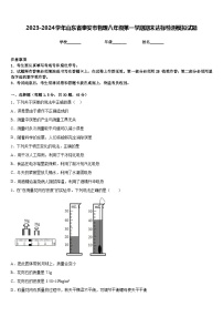 2023-2024学年山东省泰安市物理八年级第一学期期末达标检测模拟试题含答案