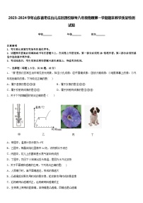 2023-2024学年山东省枣庄台儿庄区四校联考八年级物理第一学期期末教学质量检测试题含答案