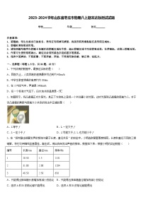 2023-2024学年山东省枣庄市物理八上期末达标测试试题含答案