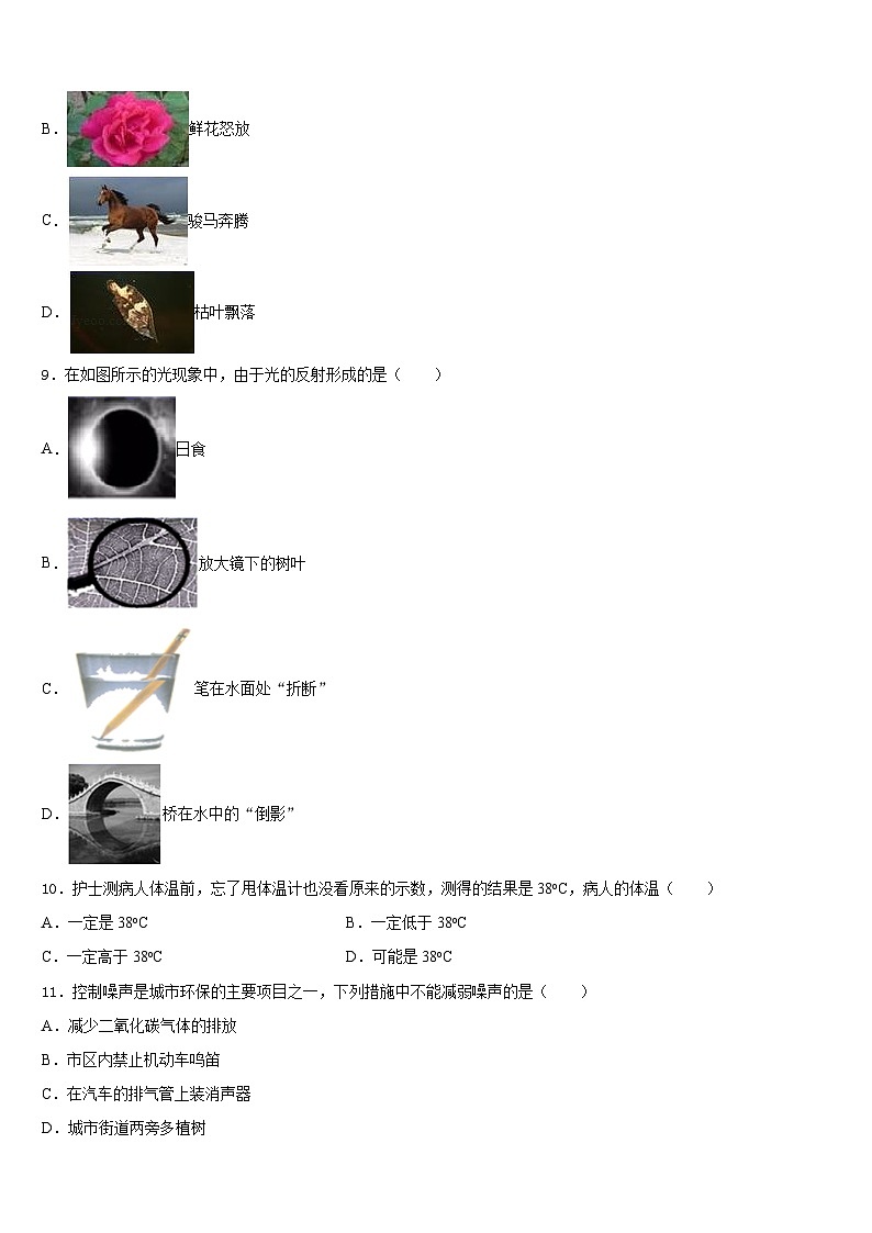 2023-2024学年山东省枣庄市物理八上期末达标测试试题含答案第3页