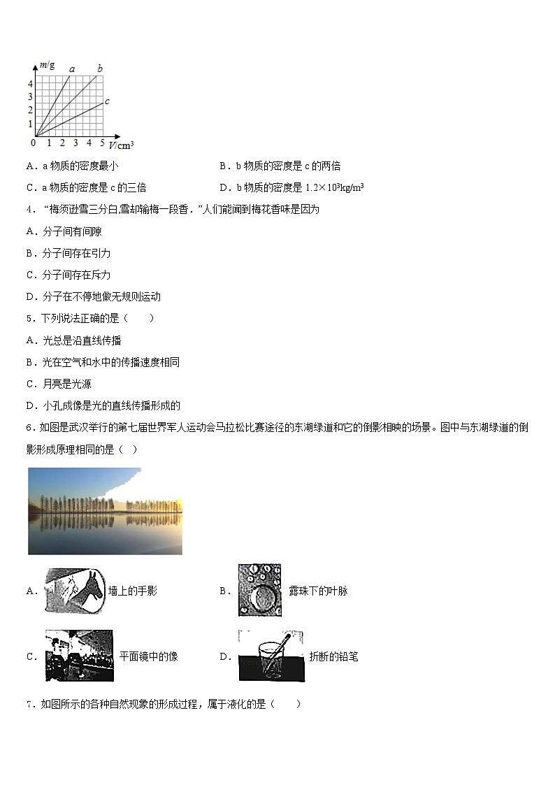 2023-2024学年山东省滨州市集团学校物理八上期末复习检测模拟试题含答案02