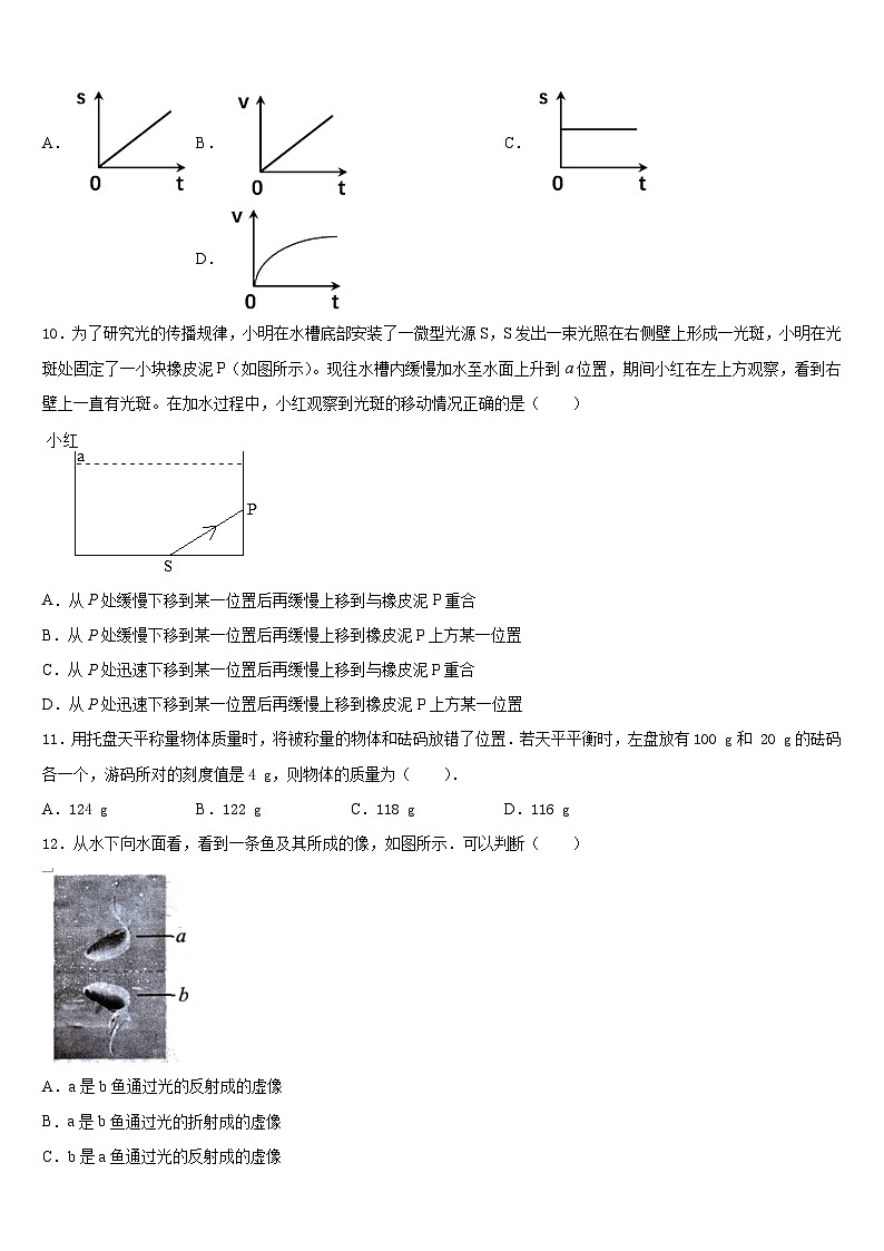 2023-2024学年山东省滨州市无棣县八年级物理第一学期期末监测模拟试题含答案第3页
