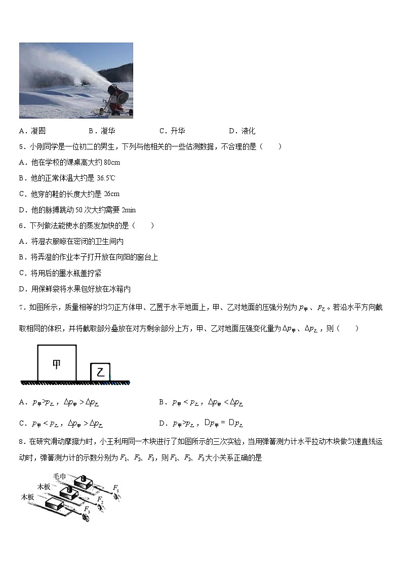2023-2024学年山东省滨州市阳信县物理八年级第一学期期末教学质量检测试题含答案02
