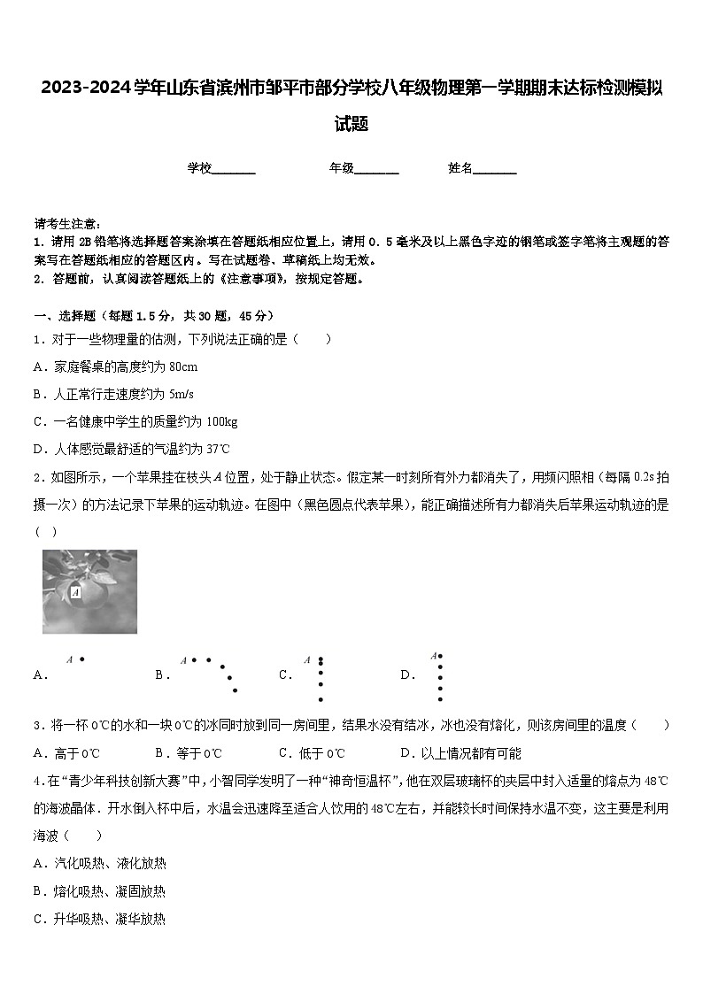 2023-2024学年山东省滨州市邹平市部分学校八年级物理第一学期期末达标检测模拟试题含答案01