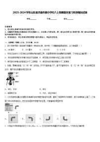 2023-2024学年山东省济南市部分学校八上物理期末复习检测模拟试题含答案