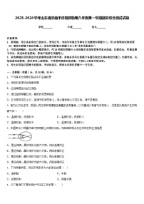 2023-2024学年山东省济南市济阳县物理八年级第一学期期末综合测试试题含答案