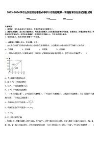 2023-2024学年山东省济南市重点中学八年级物理第一学期期末综合测试模拟试题含答案