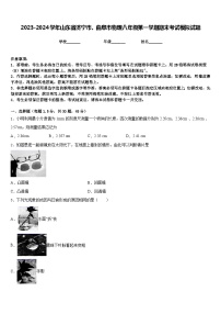 2023-2024学年山东省济宁市、曲阜市物理八年级第一学期期末考试模拟试题含答案