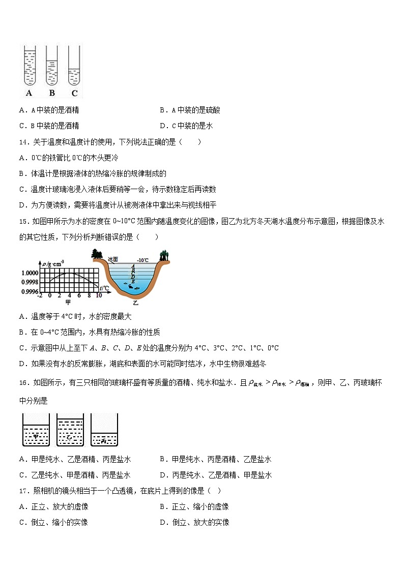 2023-2024学年山东省济宁市微山县八上物理期末调研试题含答案第3页